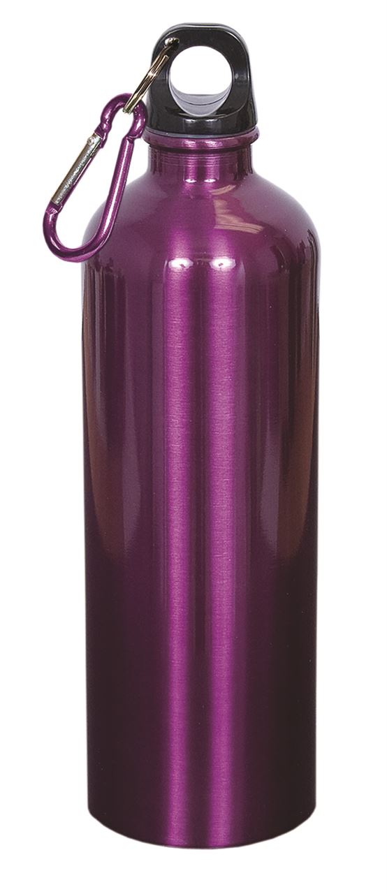 Picture of Stainless Steel Water Bottle