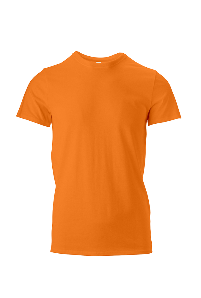 Picture of Threadfast Unisex Ultimate T-Shirt