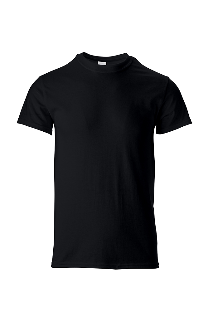 Picture of Gildan Heavy Cotton T-Shirt