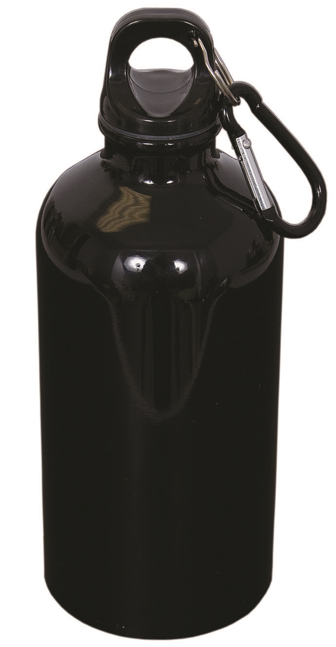 Picture of Stainless Steel Water Bottle With Carabineer